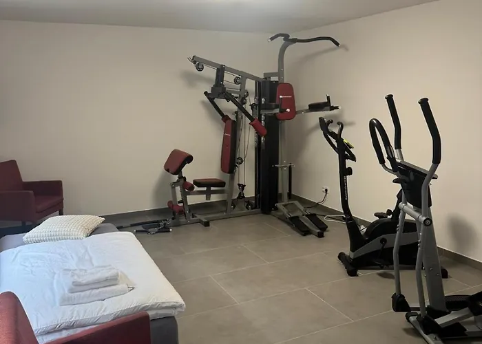 Rose Garden 1 & 2 - 2 Doppelhaushaelften Mit Fitnessraeume Prázdninový dům Offenbach am Main